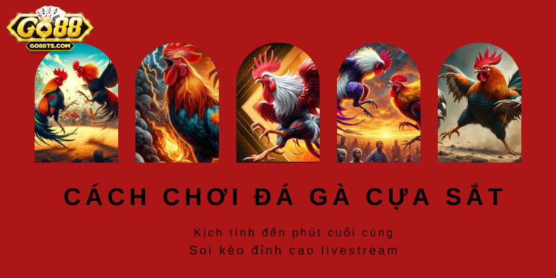 Mỗi ván cược diễn ra trong thời gian ngắn với 3 cửa chính