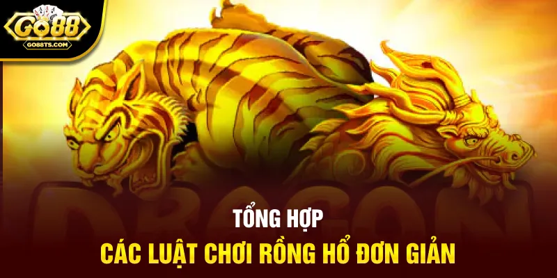 Tổng hợp các luật chơi rồng hổ đơn giản
