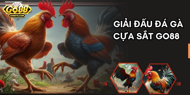 Có rất nhiều giải đấu được tổ chức tại các trường chọi lớn