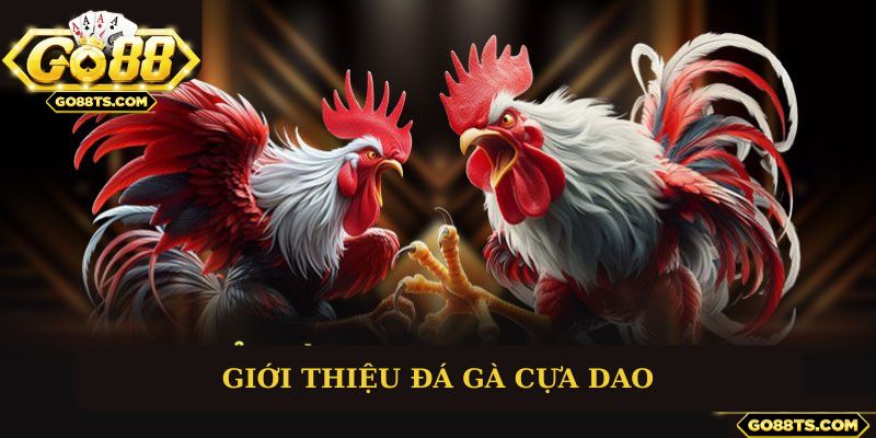Giới thiệu tổng quan về đá gà cựa dao