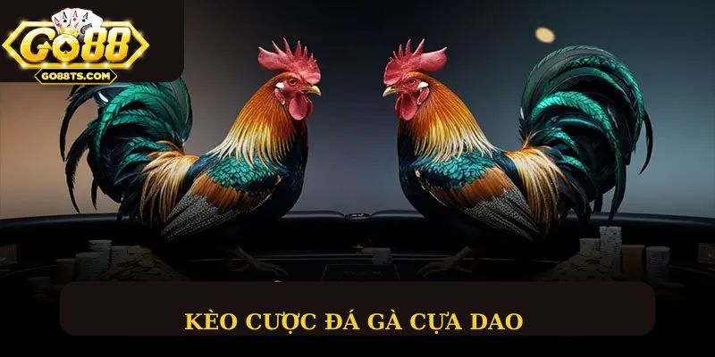 Các loại kèo cược đá gà phổ biến