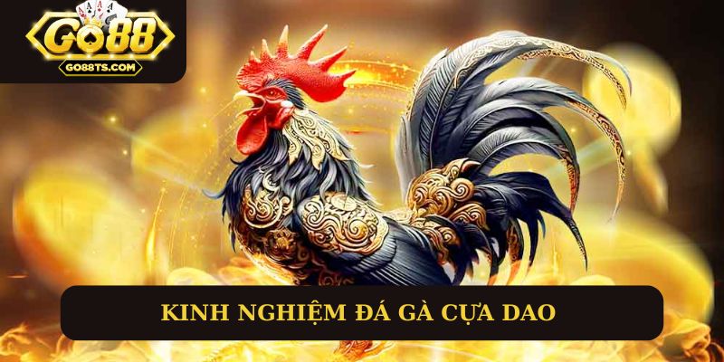 Kinh nghiệm hay để chơi đá gà thắng lớn