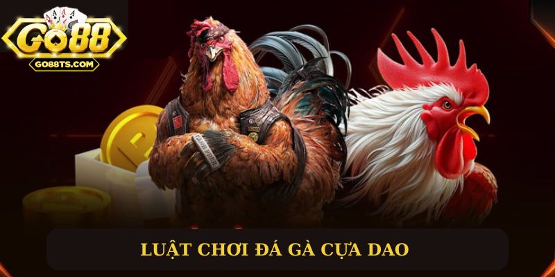 Luật chơi cơ bản đá gà cựa dao