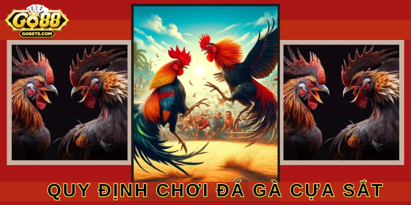 Cần nắm rõ một số quy định đặc biệt trước khi tham gia cá cược